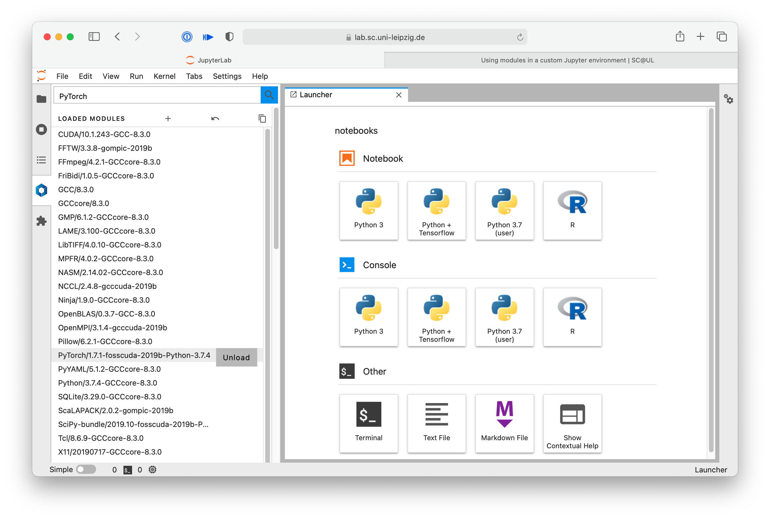 Jupyter loaded modules